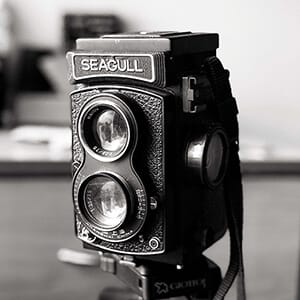 Photography_Seagull