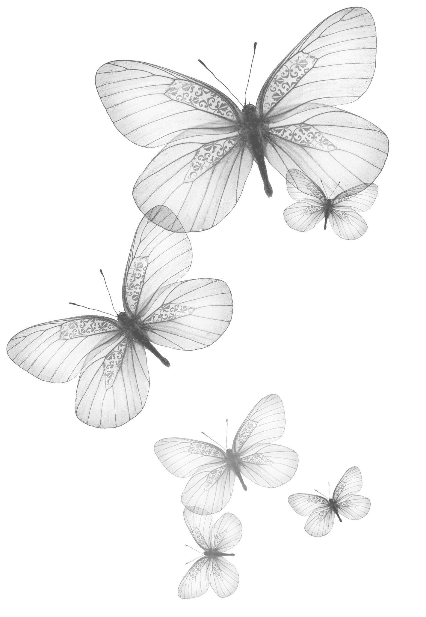 94738ea7d3844f4c3397e2e67987490c